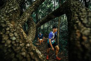 BIB: 
                            <button type="button" onclick="openModal(25670780)" class="btn btn-primary btn-sm float-right btn-popup" data-toggle="modal" data-target=".modal-high-quality">
                        <i class="fas fa-shopping-cart"></i> Add to Cart
                    </button>
                                            <button type="button" onclick="isThisMe(25670780, true)" class="btn btn-success btn-sm float-right btn-popup btn-isme hidden" data-toggle="tooltip" data-placement="bottom" title="นี่คือรูปของคุณใช่ไหม คลิกที่นี่เพื่อเอาเข้าอัลบั้ม">
                        <i class="fas fa-plus"></i> Add to album
                    </button>
                    <button type="button" onclick="isThisMe(25670780, false)" class="btn btn-warning btn-sm float-right btn-popup btn-isnotme hidden">
                        <i class="fas fa-ban"></i> Remove from album
                    </button>